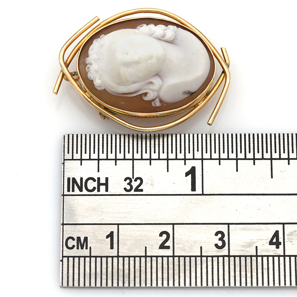Brown Shell Cameo Free Form Wire Pin/Pendant - Image 3